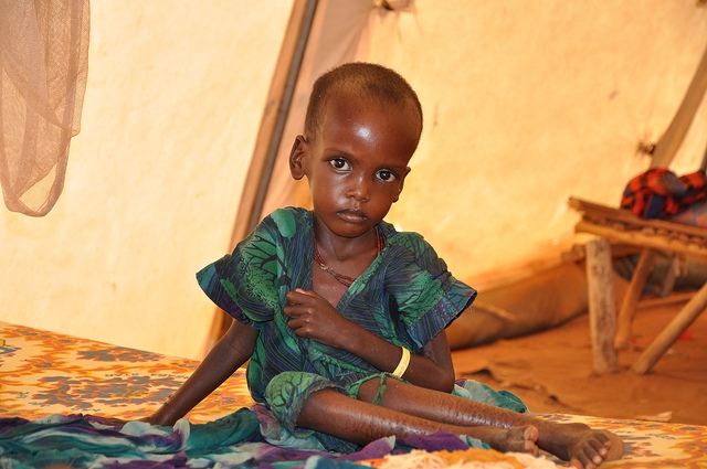 More than 400,000 Somalis, two thirds of whom were children, have died of starvation in six months, UN reports