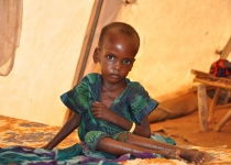 More than 400,000 Somalis, two thirds of whom were children, have died of starvation in six months, UN reports
