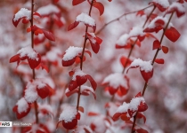 Photos: Autumn in Iran, first snow in Tabriz  <img src="https://cdn.theiranproject.com/images/picture_icon.png" width="16" height="16" border="0" align="top">