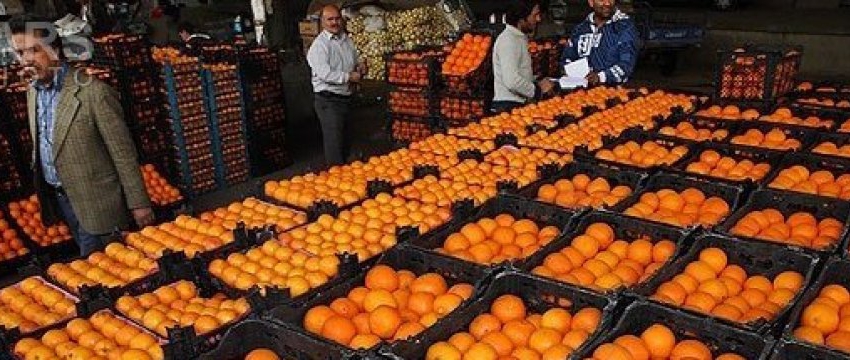 30,000 tons of citrus stocked for Norouz holidays