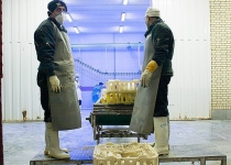 Iranian health official rejects rumors about bird flu deaths
