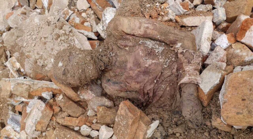 Mummy found in Southern Tehran may belong to former Shah!