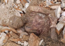 Mummy found in Southern Tehran may belong to former Shah!