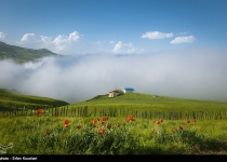 Photos: Shekardasht summer pastures  <img src="https://cdn.theiranproject.com/images/picture_icon.png" width="16" height="16" border="0" align="top">