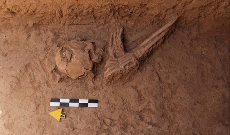New evidence of Urbanization discovered in eastern Iran