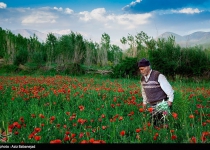 Photos: Hanam village  <img src="https://cdn.theiranproject.com/images/picture_icon.png" width="16" height="16" border="0" align="top">