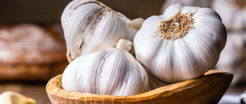 Time to resume garlic exports to Iraq