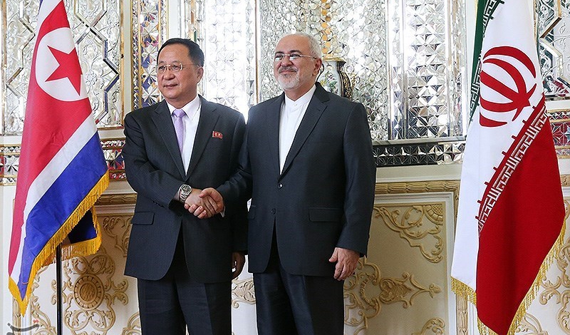 Iran, North Korea FMs hold talks in Tehran