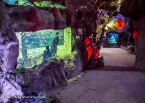 Photos: Ganjnameh cave aquarium; Marvelous complex in Western Iran  <img src="https://cdn.theiranproject.com/images/picture_icon.png" width="16" height="16" border="0" align="top">