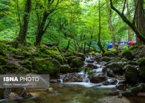 Photos: Caspian forest of Rudkhan Castle; Natural gem in Northern Iran  <img src="https://cdn.theiranproject.com/images/picture_icon.png" width="16" height="16" border="0" align="top">