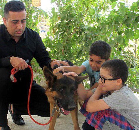 Assistant dogs in Iran to help Autistics control their disease