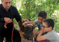Assistant dogs in Iran to help Autistics control their disease