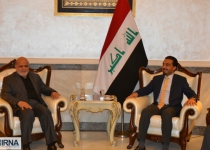 Iraqi Speaker thanks Iran for supporting its territorial integrity