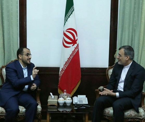 Iranian diplomat, Ansarullah spokesman discuss developments in Yemen