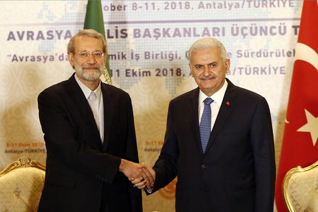 US is upset over Iran-Turkeys friendly ties: Larijani