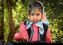 Photos: Pomegranate festival held in Iranian northern village  <img src="https://cdn.theiranproject.com/images/picture_icon.png" width="16" height="16" border="0" align="top">