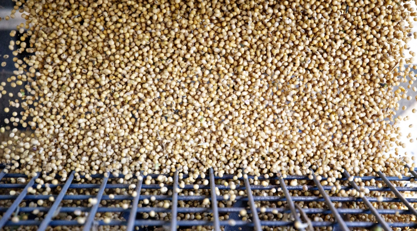 Sanctions no impediment to another U.S. soybean shipment to Iran