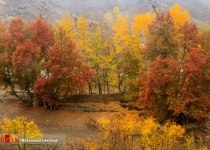 Photos: Magnificence of Autumn in Iran  <img src="https://cdn.theiranproject.com/images/picture_icon.png" width="16" height="16" border="0" align="top">