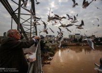 Photos: Irans Karoon river hosting migratory birds  <img src="https://cdn.theiranproject.com/images/picture_icon.png" width="16" height="16" border="0" align="top">