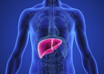 Rising trend of liver transplant in Iran: from 2 to 749