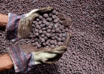 Major pellet production plant launched in Kerman