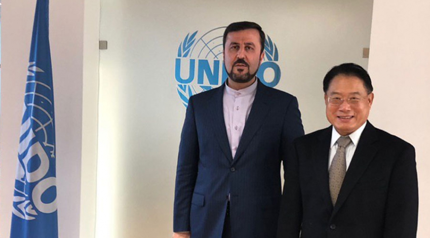 UNIDO ready for industrial cooperation with Iran