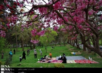 Iranians celebrate Nature