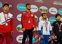 Iranian free wrestler wins gold medal in Asian c