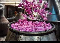 Photos: Rosewater festivals take center stage in central Iran  <img src="https://cdn.theiranproject.com/images/picture_icon.png" width="16" height="16" border="0" align="top">