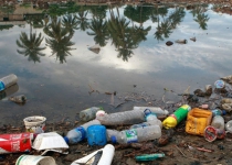 World Migratory Bird Day highlights deadly risks of plastic pollution