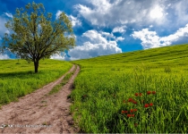 Photos: Heavenly heights of Lordegan  <img src="https://cdn.theiranproject.com/images/picture_icon.png" width="16" height="16" border="0" align="top">