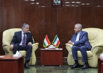 Iran, Tajikistan to develop ties in electricity field
