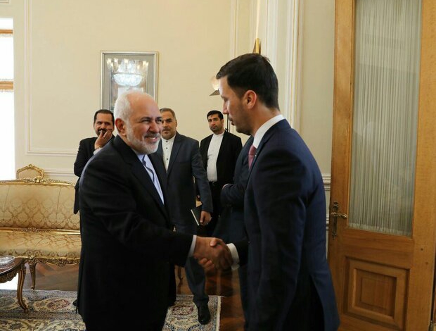 Zarif meets Slovakian deputy FM in Tehran
