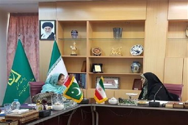 VP Ebtekar meets with Pakistans amb. to Tehran