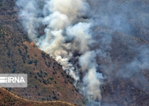 Arasbaran forest fire put out after 4 days
