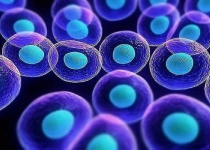 Iran moves up 17 steps in producing science of stem cells in ME region