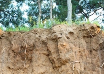 Soil erosion costs Iran $56b in covert damage p.a.