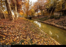 Photos: Festival of alluring colors in Isfahans Chahar Bagh  <img src="https://cdn.theiranproject.com/images/picture_icon.png" width="16" height="16" border="0" align="top">