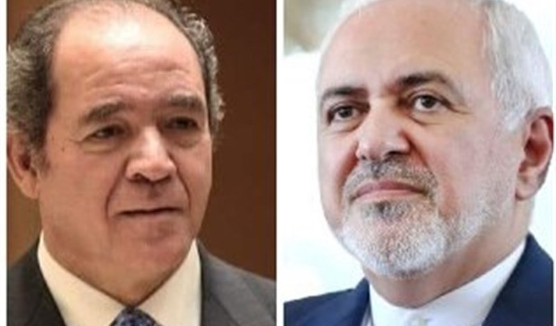 Iranian, Algerian top diplomats discuss Palestine