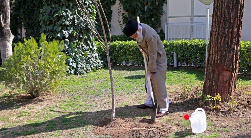 Leader plants two saplings on National Arbor Day