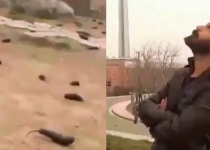 Iranian police arrest five over prank aubergine-rain video