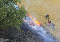 Photos: Forces mobilized to extinguish wildfire of oak forests in SW  <img src="https://cdn.theiranproject.com/images/picture_icon.png" width="16" height="16" border="0" align="top">