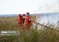 Photos: Fire extinguished in Miankaleh  <img src="https://cdn.theiranproject.com/images/picture_icon.png" width="16" height="16" border="0" align="top">