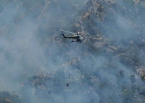 IRGC helping Turkey to put out fire by 1 plane, 2 helicopters