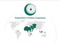 OIC Group condemns recent Islamophobic incidents