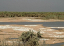 43% of wetlands to become dust-rising hotspots