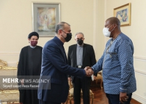 Iran FM hails Mandela