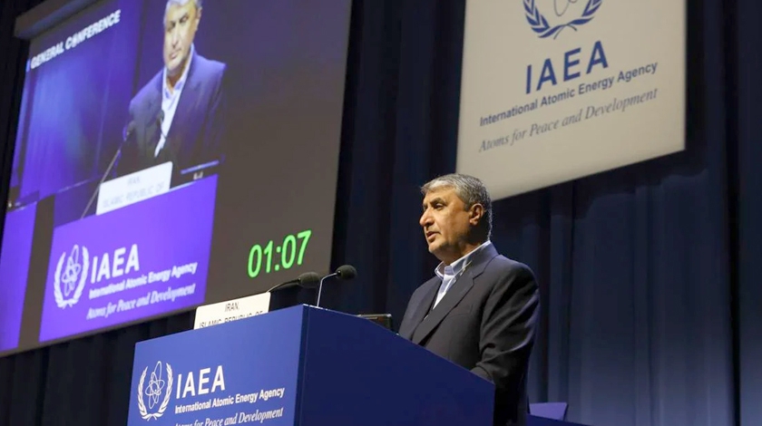 AEOI head: IAEA should be impartial, professional