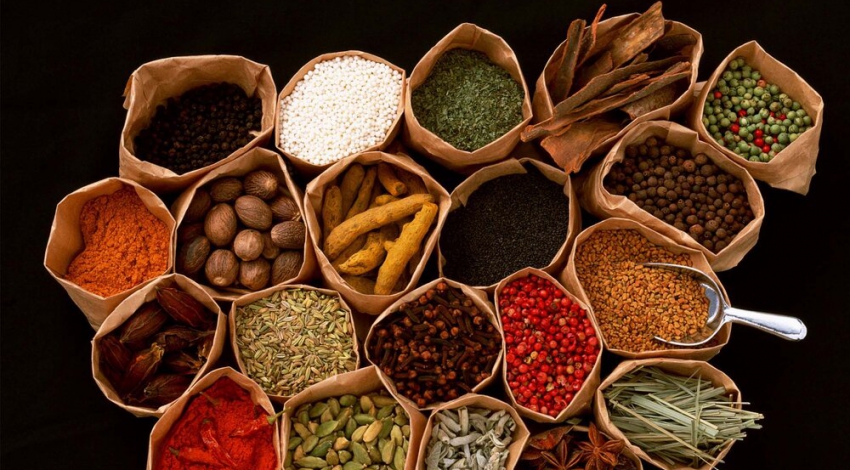 Iran ranks fourth in producing knowledge on traditional medicine