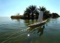 Rainfall fills Shadegan wetland by 70%